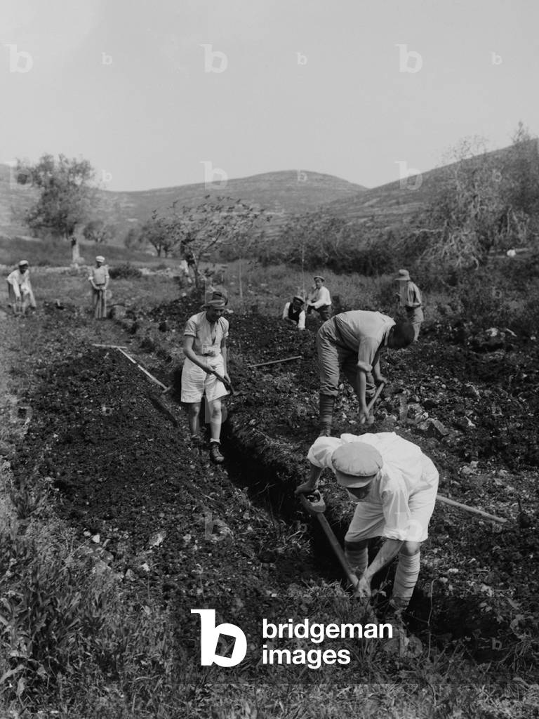 Jewish immigrants digging a trench as they establish a communal agricultural settlement, a kibbutz, on land provided by Jewish philanthropic organizations, usually purchased from Palestinians or Arab landlords. c. 1920-36