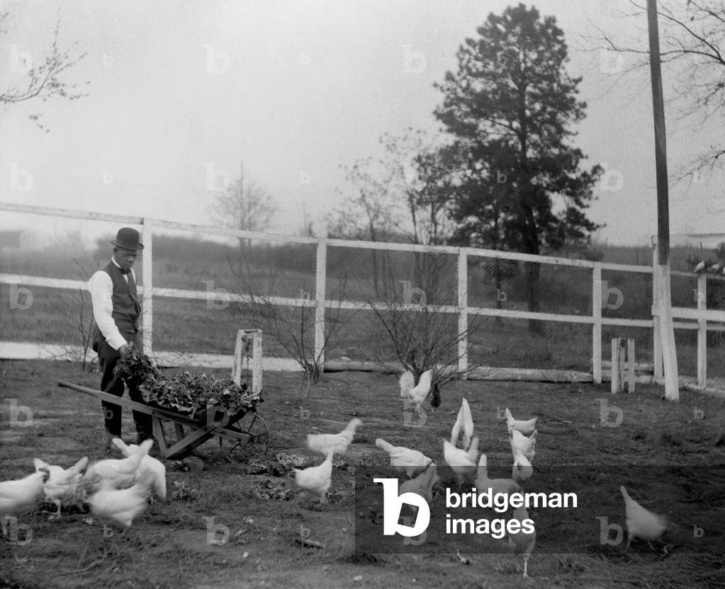 Booker T. Washington (1856-1915), feeding his chickens with greens raised in his own garden, Tuskegee Institute. His accommodationist approach to education and civil rights was progressive for the late 19th century. c. 1900