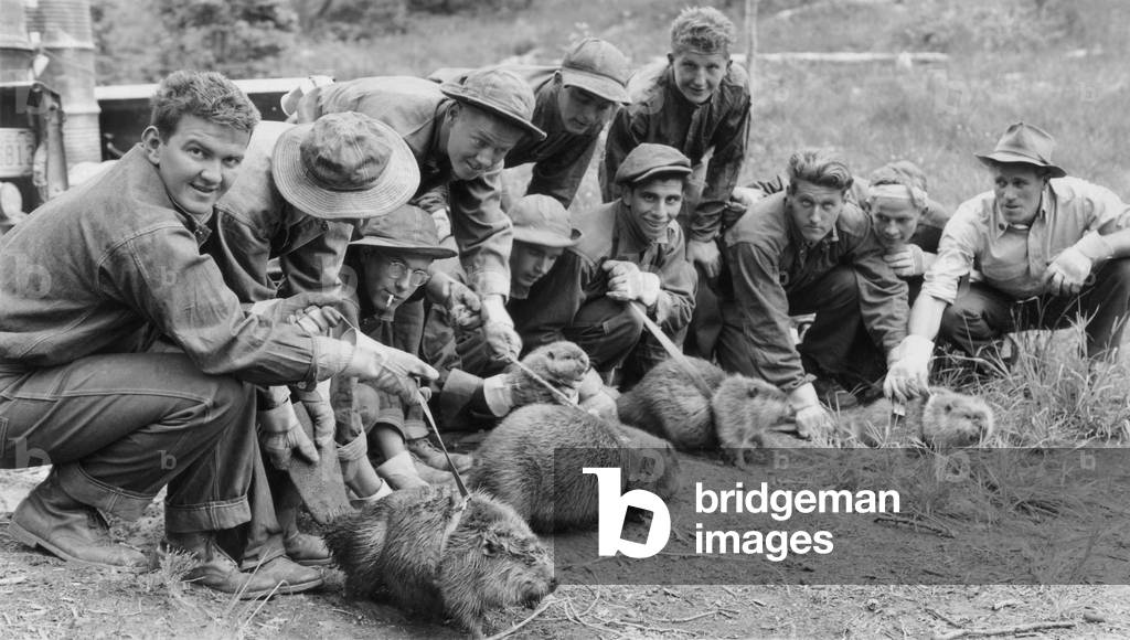 CCC enrollees ready to transplant wild beavers, c. 1938. The beavers will be taken from a ranch to a forest watershed to conserve water supply. Civilian Conservation Corps Camp F-167, Salmon National Forest, Idaho