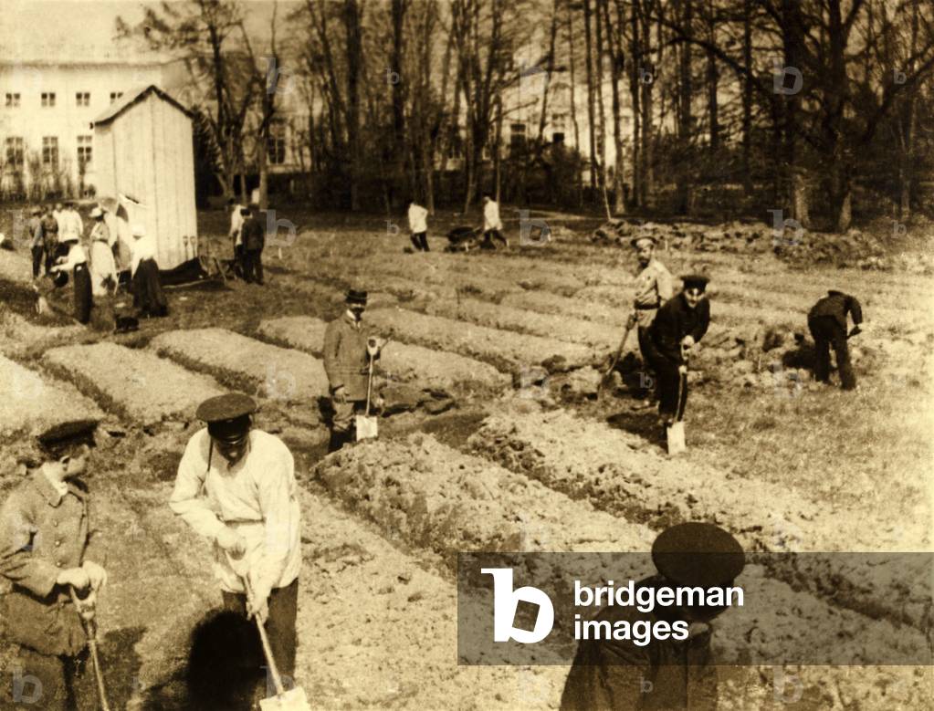 Imprisoned Russian Czar Nicholas II and family gardening at Tsarskoe-Selo. 1917