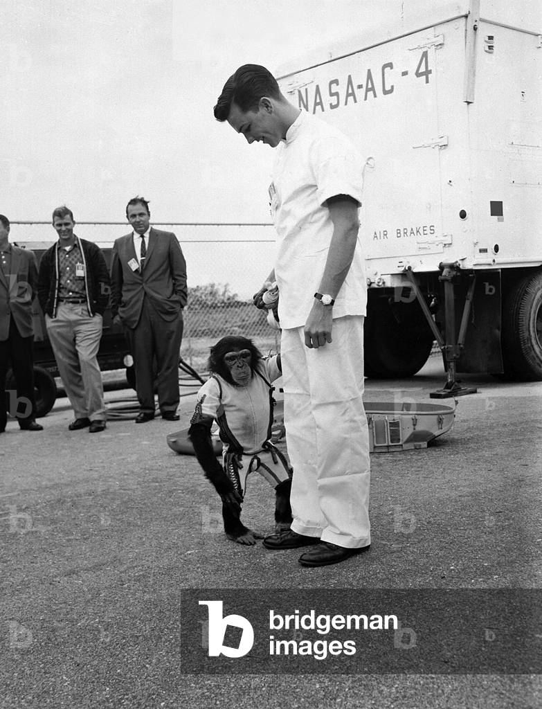 Ham, the first chimpanzee ever to ride into space is shown off by his animal trainer at Cape Canaveral, Florida. January 31, 1961