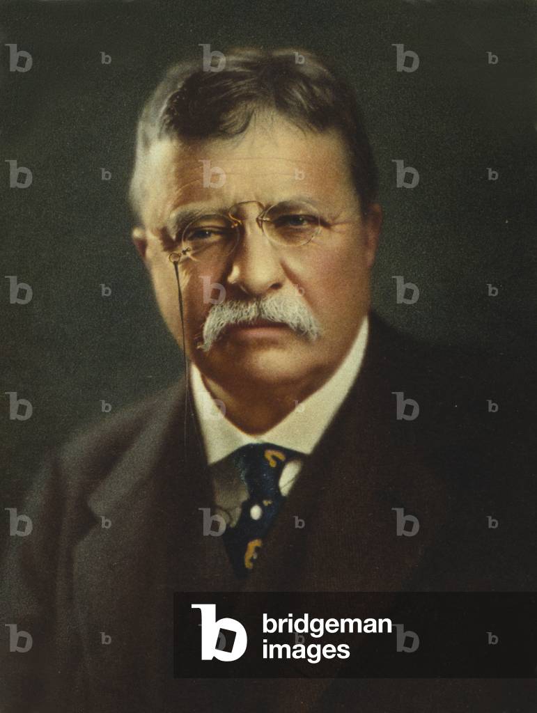 Commemorative portrait of President Theodore Roosevelt, published after his death in 1919. Title reads, Theodore Roosevelt, Secretary of Navy, Rough Rider, governor and president, 1858-1919