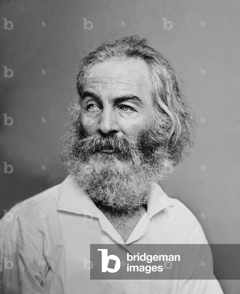 Walt Whitman (1819-1892) American poet, author, and journalist in portrait from Mathew Brady studio, c. 1863