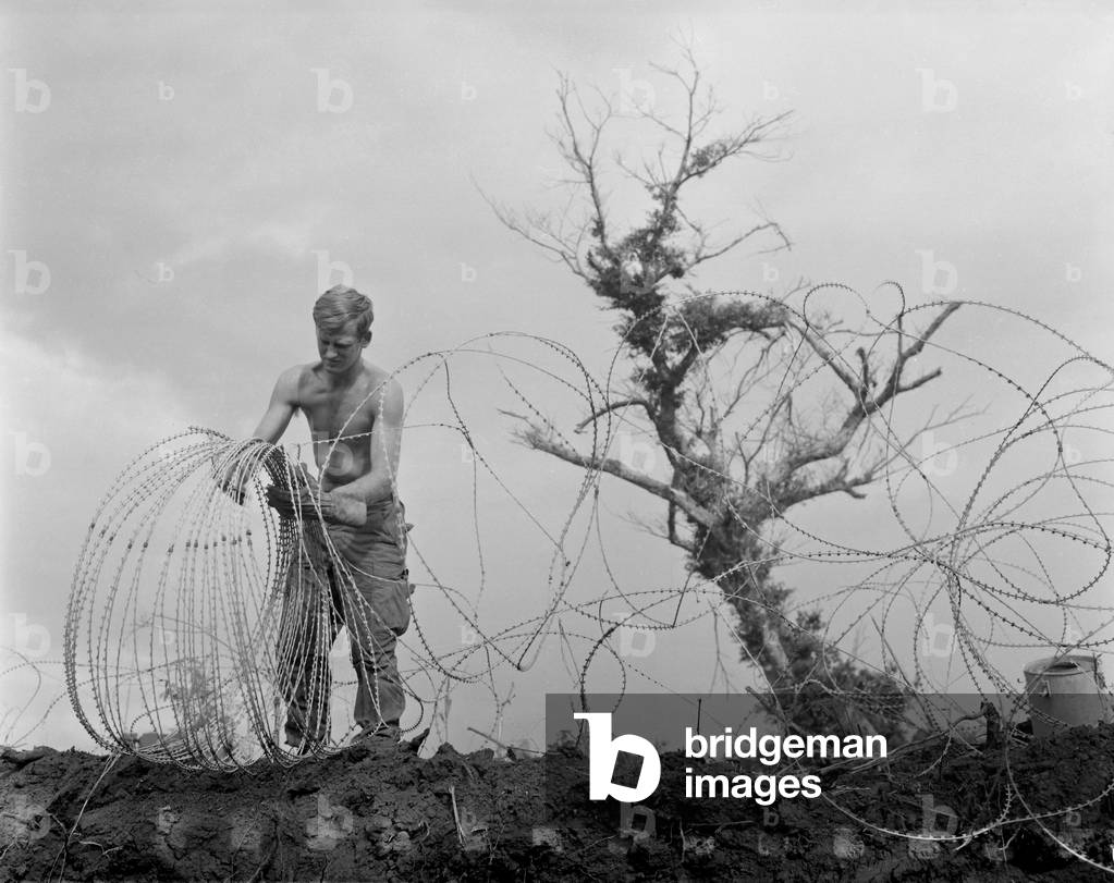 Vietnam War. A US Army infantryman takes down barbed tape surrounding the command post of Operation Utah Mesa. Location was the A Shau Valley, in Quang Tri Province, in the vicinity of Khe Sanh. July 1969