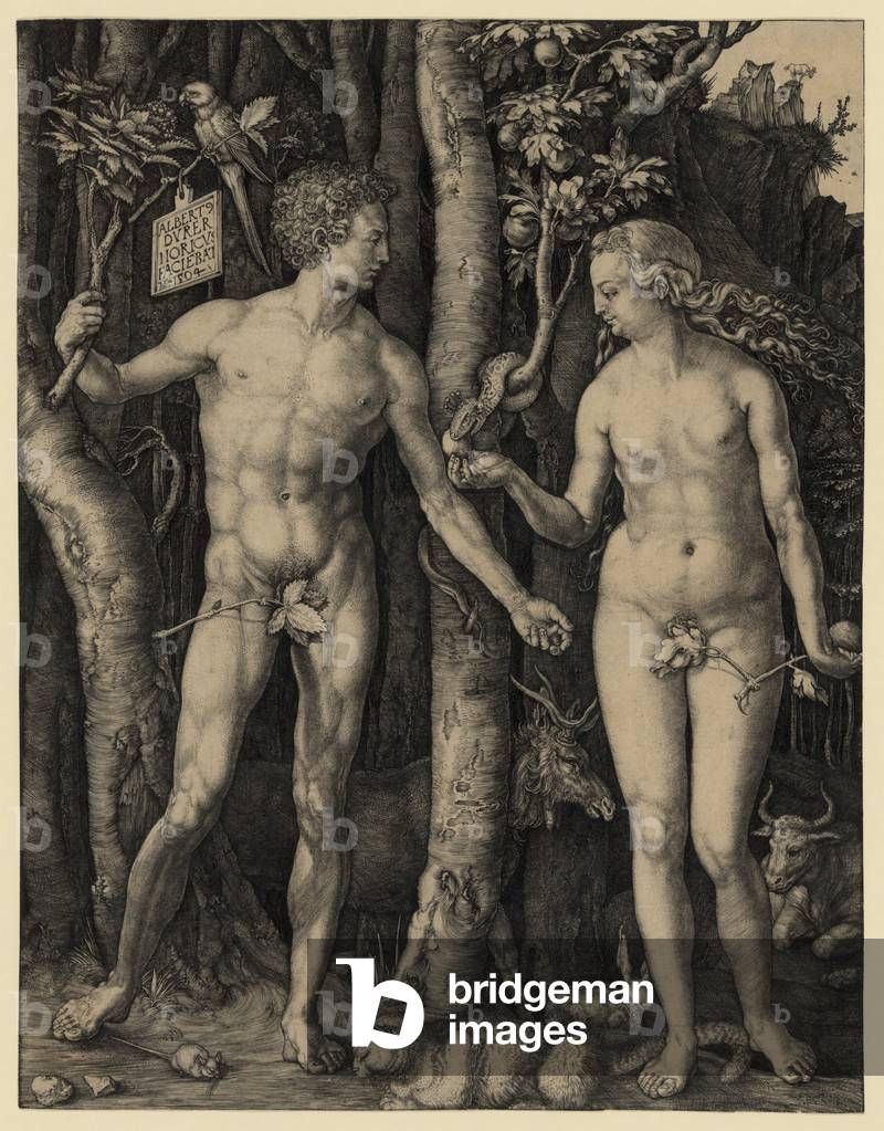 ADAM AND EVE, 1504 engraving