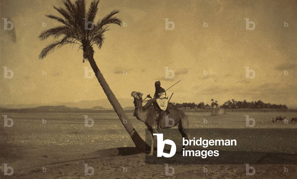 Algerian camel rider next to a palm tree in a desert landscape. Photo attributed to Tancrede R. Dumas between 1860-1900. LC-DIG-ppmsca-04408