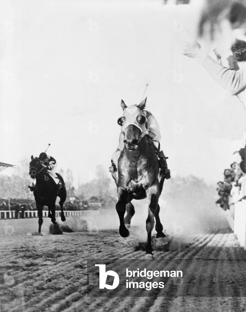 Seabiscuit acrossing the finish line, beating Triple Crown winner War Admiral at Pimlico race Course in Baltimore, Maryland. November 1, 1938. 40 million people listened to the race on the radio