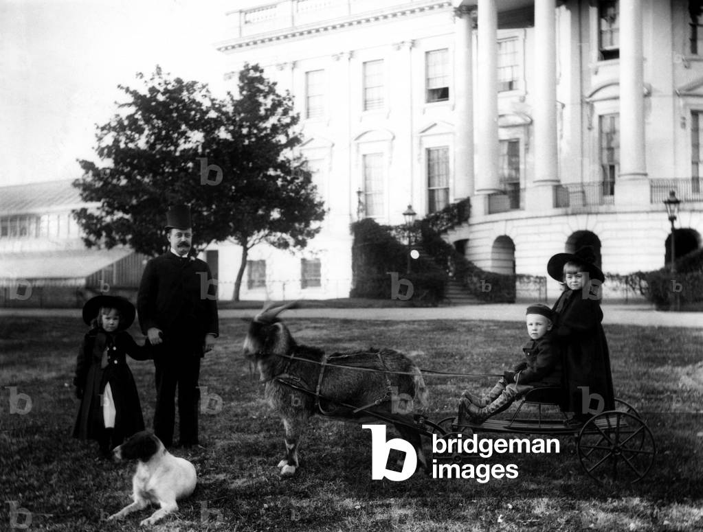 President Benjamin Harrison's son, Russell watches the grandchildren on the White House grounds, c. 1890s.
