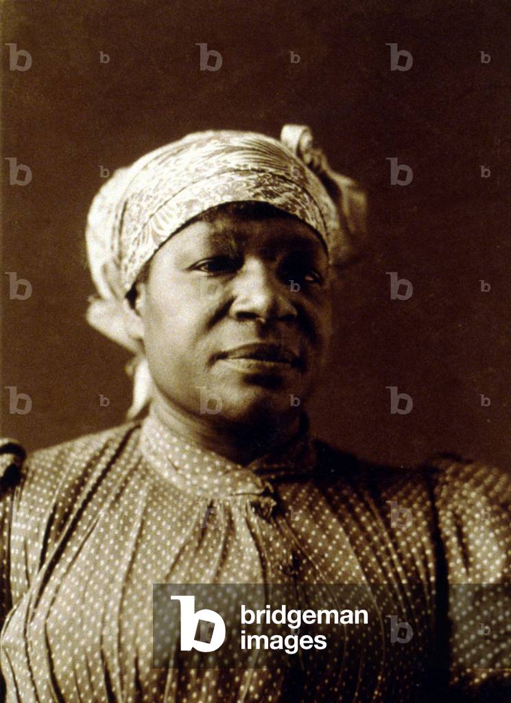 1897 portrait of an African American woman named Margaret, by noted photographer, Frances Stebbins (1854-1941)