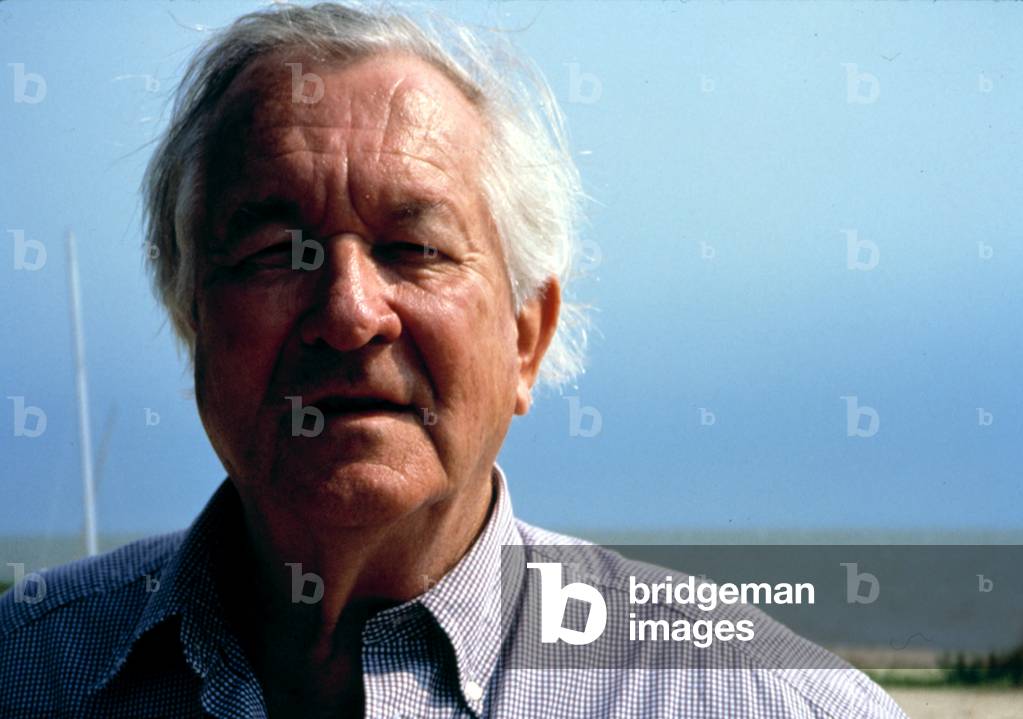 William Styron, 1990s