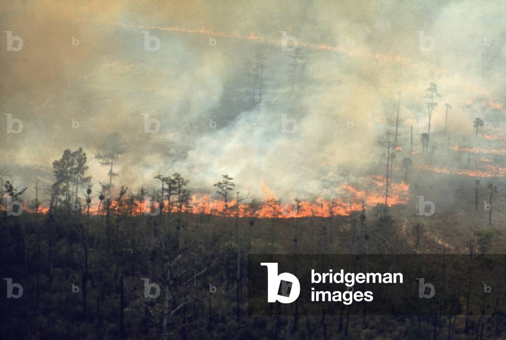Burning fields in the Florida Everglades sends smoke over the highly populated east coast of Florida. c. 1973-75