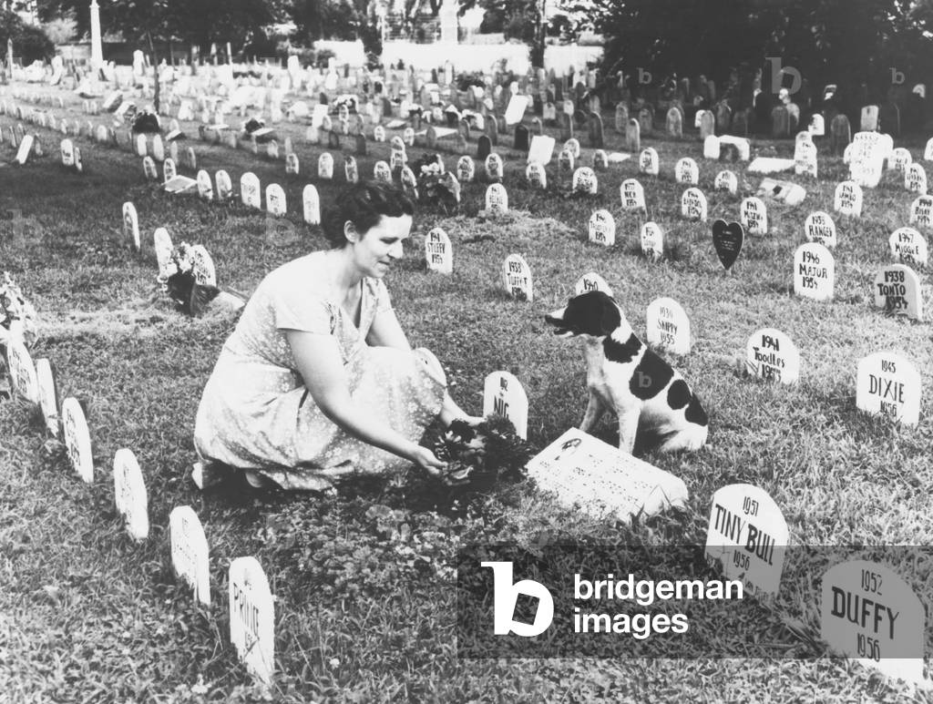 Pet cemetery where more than 3,000 animals, including dogs, cats, birds, and monkeys are buried. Aug. 1958 at Florissant, St. Louis County, Missouri