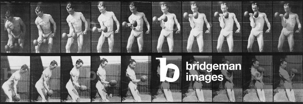 Consecutive images of man lifting a dumbbell. From Eadweard Muybridge's, ANIMAL LOCOMOTION, 1887