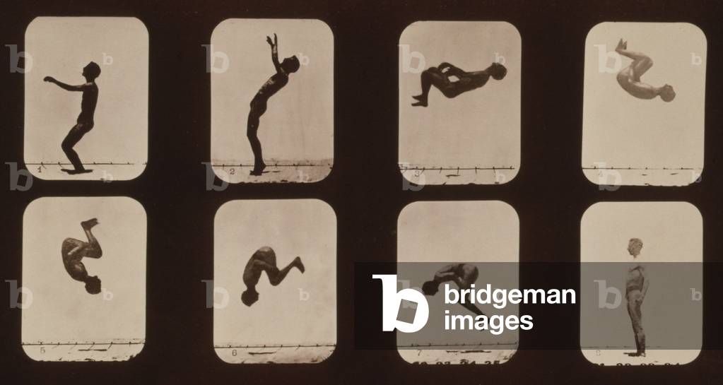 Consecutive images of a man doing a back somersault. From Eadweard Muybridge's, THE ATTITUDES OF ANIMALS IN MOTION, 1881