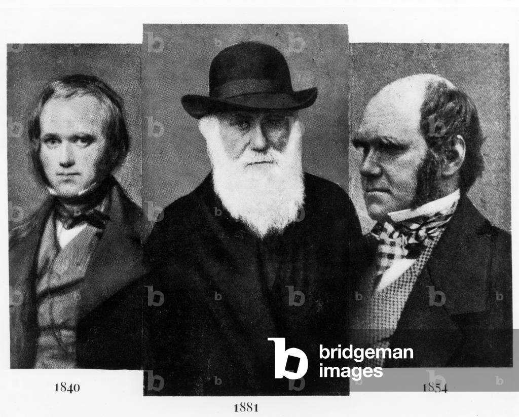Charles Darwin (1809-1882), at age 31 in 1840 (L), age 72 in 1881 (M), age 45 in 1854 (R)