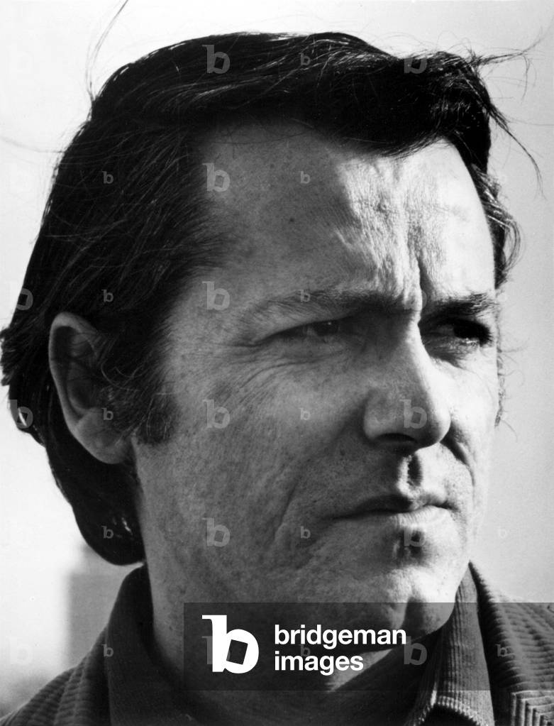 Don De Lillo, author, in a 1980 portrait.