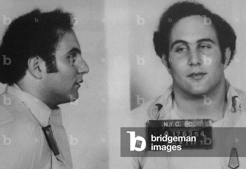 David Berkowitz (b. 1953) killed six people and wounded seven others in the course of eight shootings in New York between 1976 and 1977. Berkowitz was played by Michael Badalucco in Spike Lee's 1999 film, SUMMER OF SAM