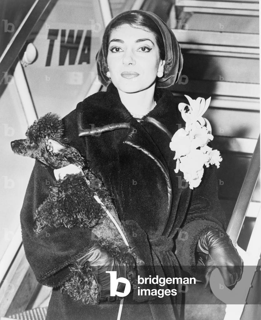 Maria Callas (1923-1977), holding a pet poodle arrives at New York's Idlewild (now JFK) Airport in 1958