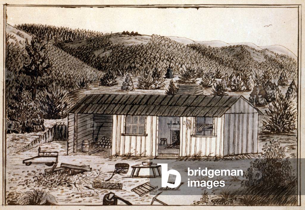 My cabin, Long Gulch. California Gold Rush cabin, 1859. Daniel Jenks, color