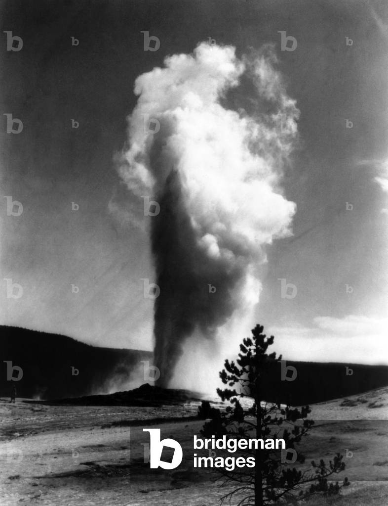 Old Faithful geyser erupting on schedule, Yellowstone National Park c.1936