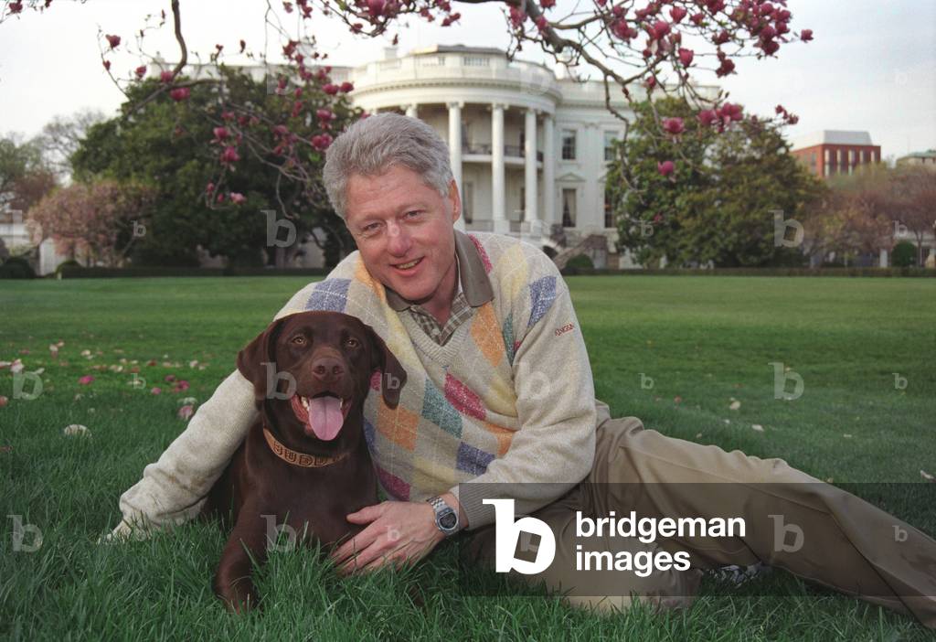 President Bill Clinton with his a male chocolate-colored Labrador Retriever, Buddy. Clinton acquired Buddy as a 3-month-old puppy in Dec. 1997, when his inappropriate relationship with a White House intern had created a major scandal