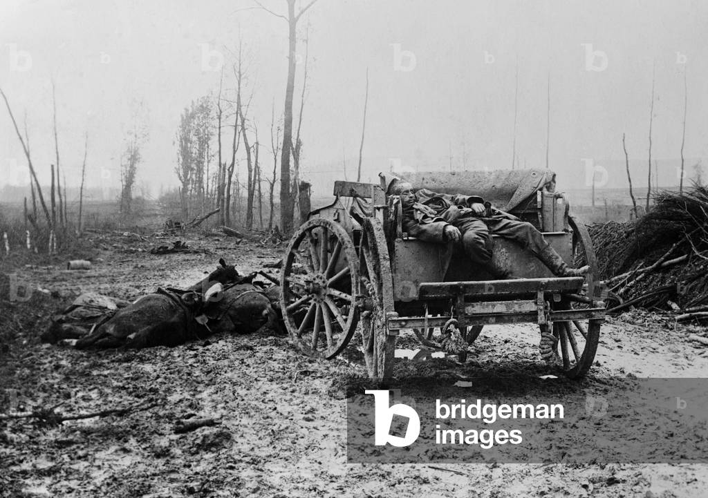 Dead WW1 German Artilleryman and horses. 1914-18