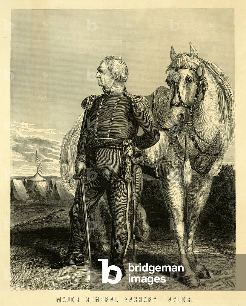 Zachary Taylor, 