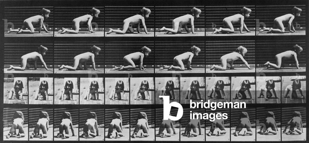 Consecutive images of a nude girl crawling. From Eadweard Muybridge's, ANIMAL LOCOMOTION, 1887