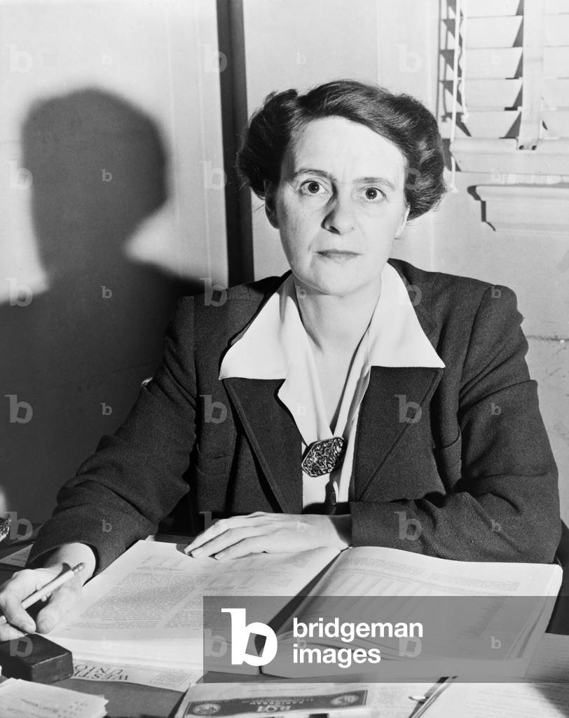 Economist Eveline Burns, contributed to New Deal programs. She developed specifics of the Social Security Act as it was eventually passed by Congress in 1935