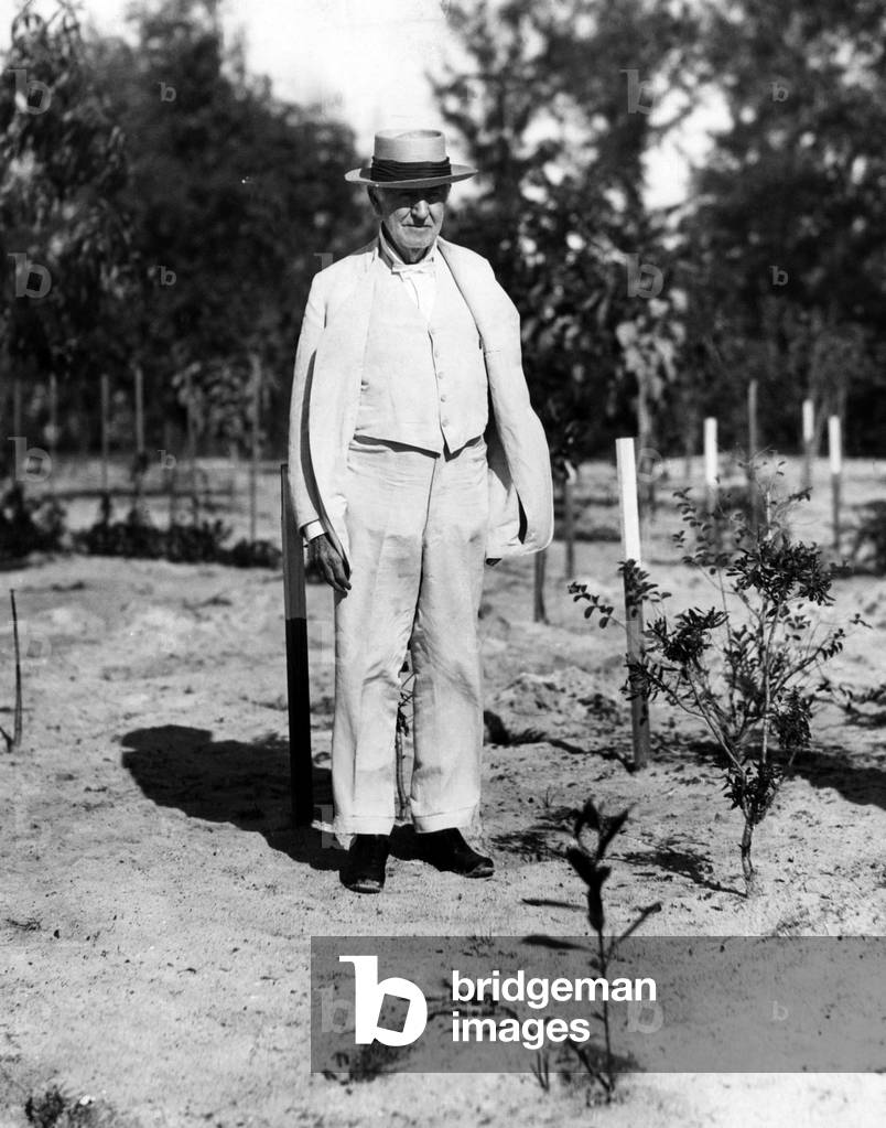 Thomas Edison experimenting with his rubber plant garden at his winter home in Fort Meyers, Florida. 01/18/29.