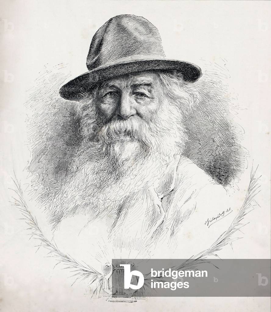 Walt Whitman (1819-1892) American poet, author, and journalist in portrait on cover of 