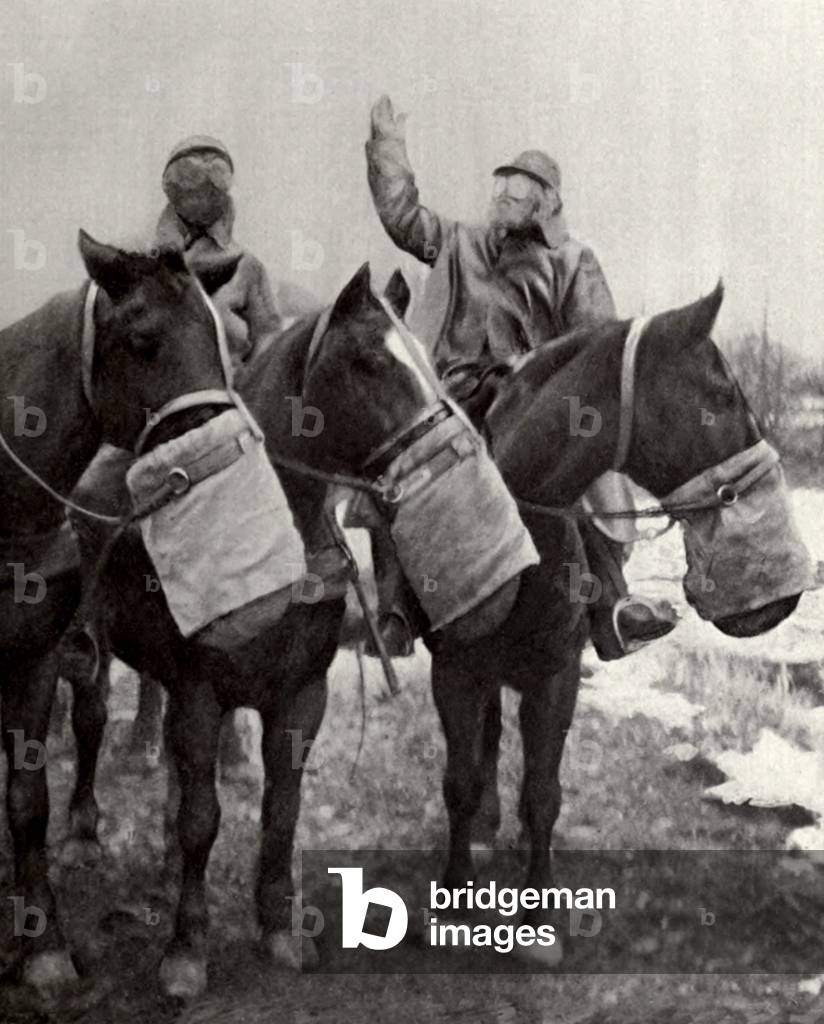 Anti-gas nose bag for French army horses in WW1. 1917. The animals accepted the peculiar nose-bag, perhaps anticipating it would later be filled with oats or other food