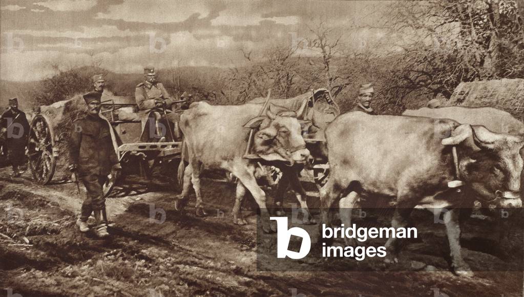 King Peter of Serbia, riding in an oxen drawn buggy after Serbia's 1916 defeat by Central Powers. He joined his people in their retreat to the mountains of Albania. After the war, he became the first ruler of the Kingdom of Serbs, Croats and Slovenes (as Yugoslavia called before its renaming in 1929)