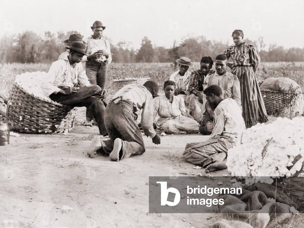African Americans enjoying some rest and recreation after a day of work picking cotton. Three men are shooting dice on the edge of cotton field while others watch. c. 1900