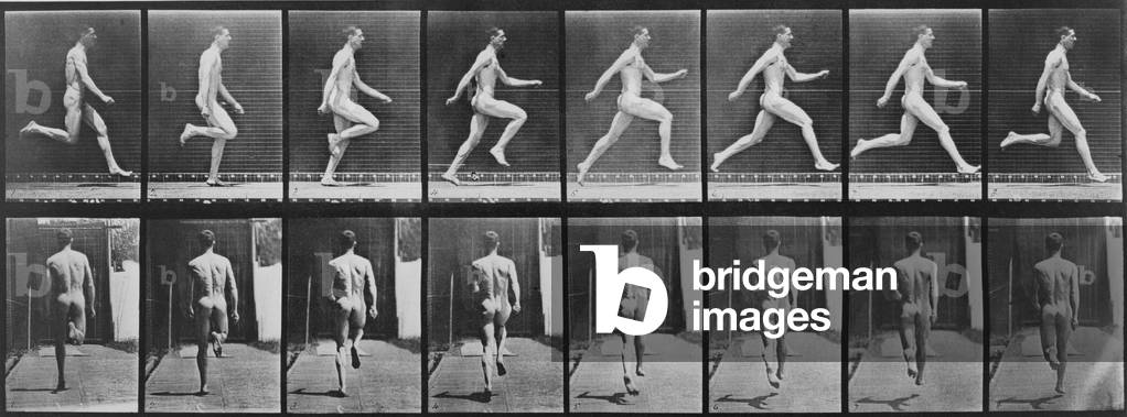 Consecutive images of a nude man running. From Eadweard Muybridge's, ANIMAL LOCOMOTION, 1887