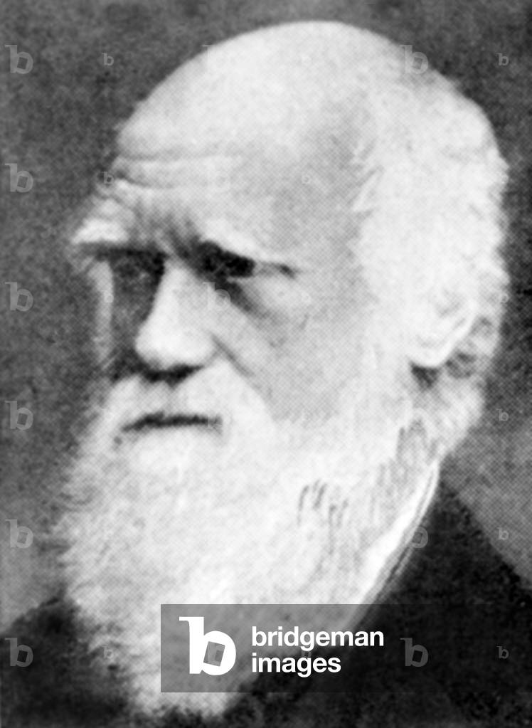 Charles Darwin (1809-1882), c.1870s-1980s.