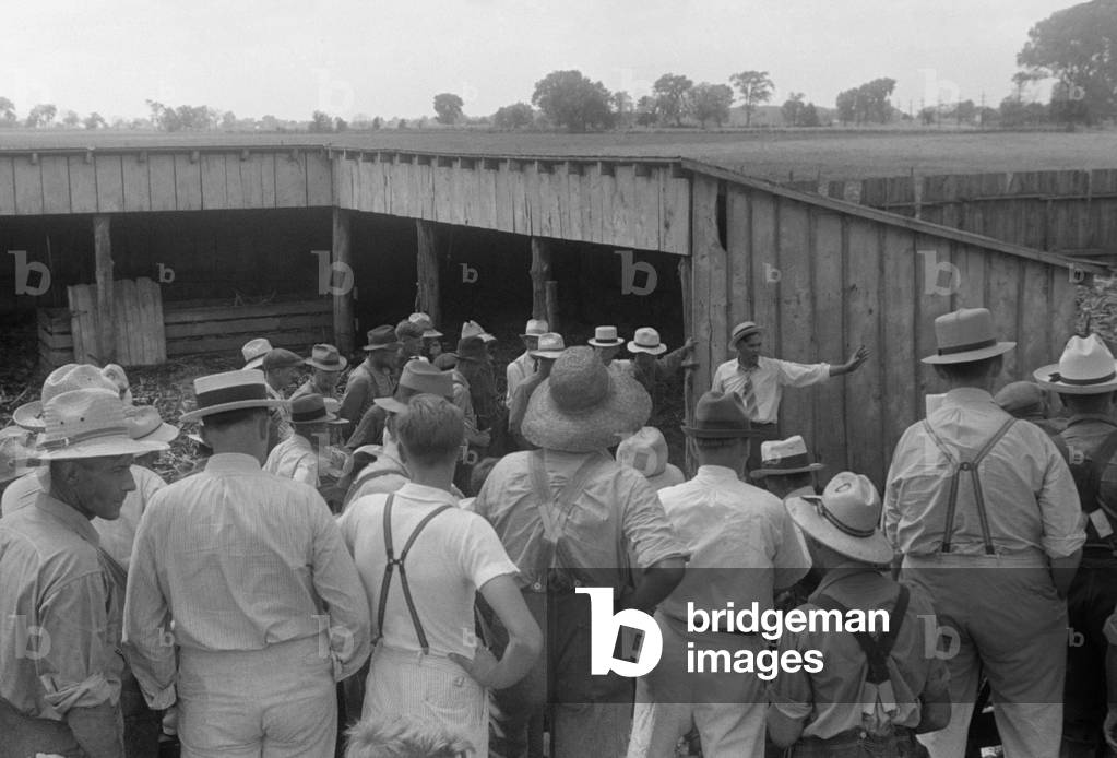 Spectators at public farm auction, central Ohio, Aug. 1938