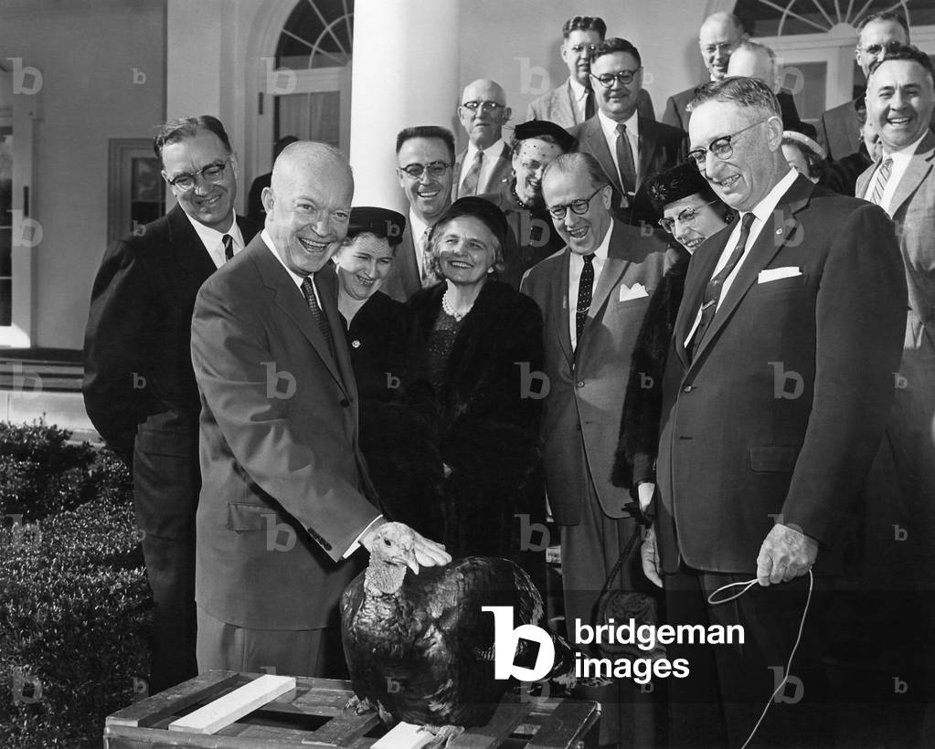 President Eisenhower receives a turkey from the National Turkey Federation at the White House. Nov. 19, 1956.