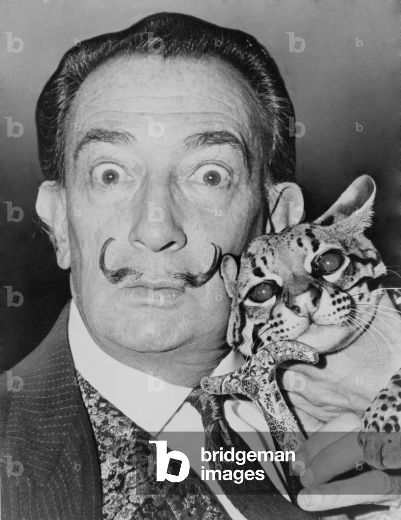 Salvador Dali with his pet ocelot in the St Regis Hotel in 1965 (b/w photo)