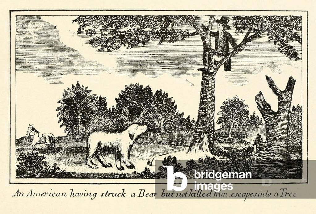 Illustration from Lewis and Clark's journal of the Corps of Discovery from 1803-6. 'American having struck a Bear but not killed him escapes into a tree.'