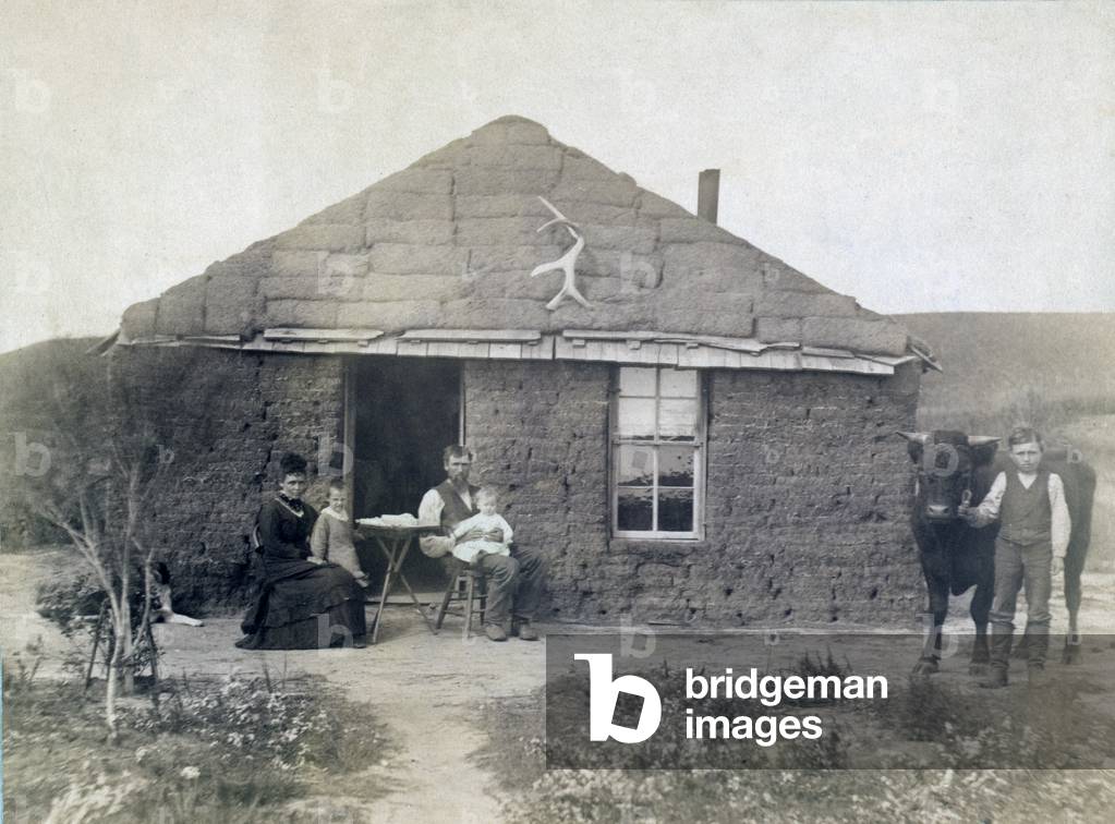 Rural life in Nebraska. The Laulerman family in front of their sod house, with boy holding bull on the right. 1886