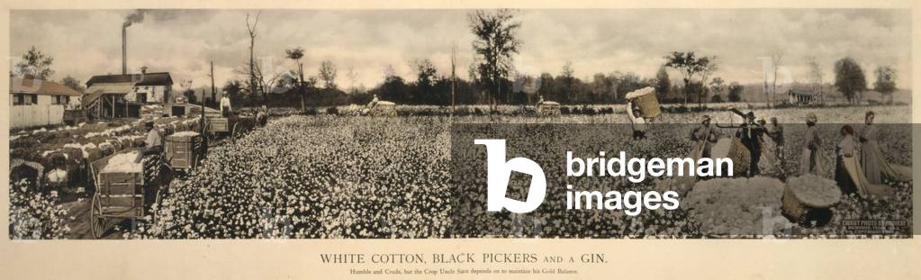 African Americans working in a cotton field, original caption: 'White cotton, black pickers and a gin. Humble and crude, but the crop Uncle Sam depends on to maintain his gold balance', Memphis, Tennessee, photograph by John Calvin Coovert, 1915