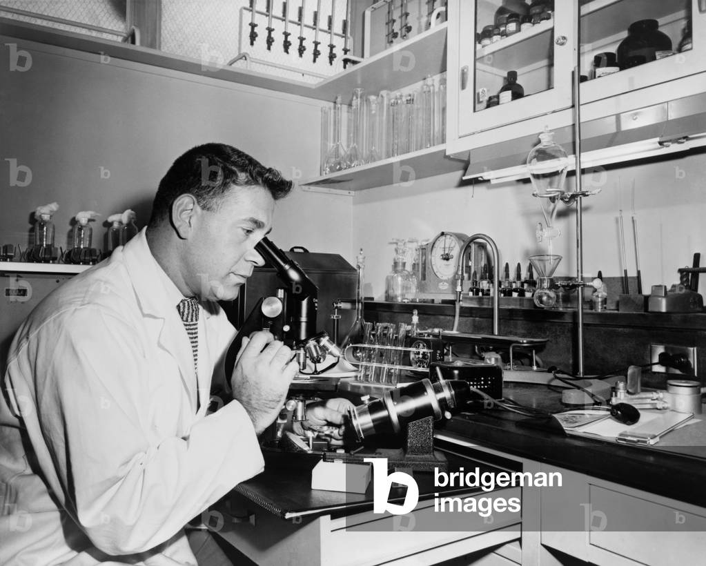 Henry Isenberg, chief microbiologist, examines a specimen of sperm at the Long Island Jewish Hospital Infertility Clinic in 1956