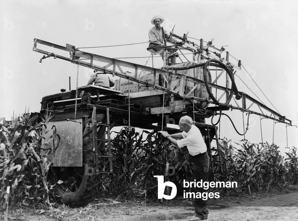 Large-scale spraying of Syndeet, an insecticide containing DDT, on a farm in Illinois in 1948. The environmentally destructive chemical was used indiscriminately until it was banned in 1972