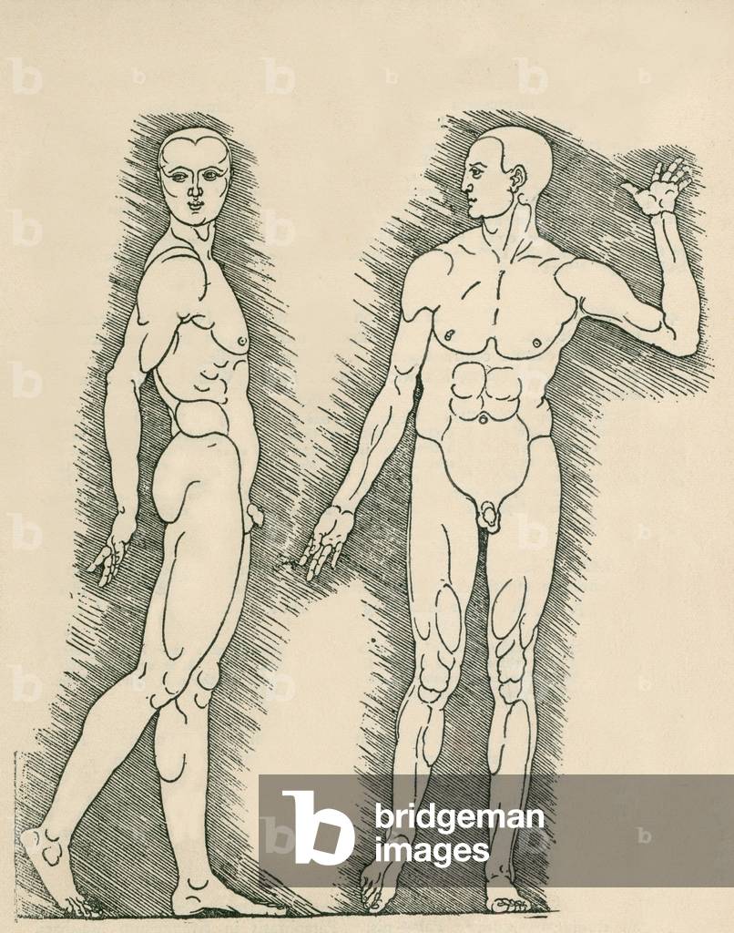 Plate from Albrecht Durer's, VIER BUCHER VON MENSCHLICHER PROPORTION (Four Books on Human Proportion). Durer applied the science of human anatomical proportions to aesthetics. 1528 engraving