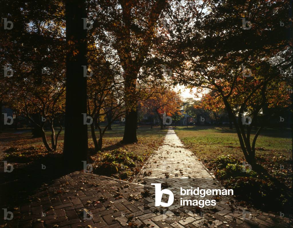 New York City, Governor's Island, view of Nolan Park in autumn; 1982