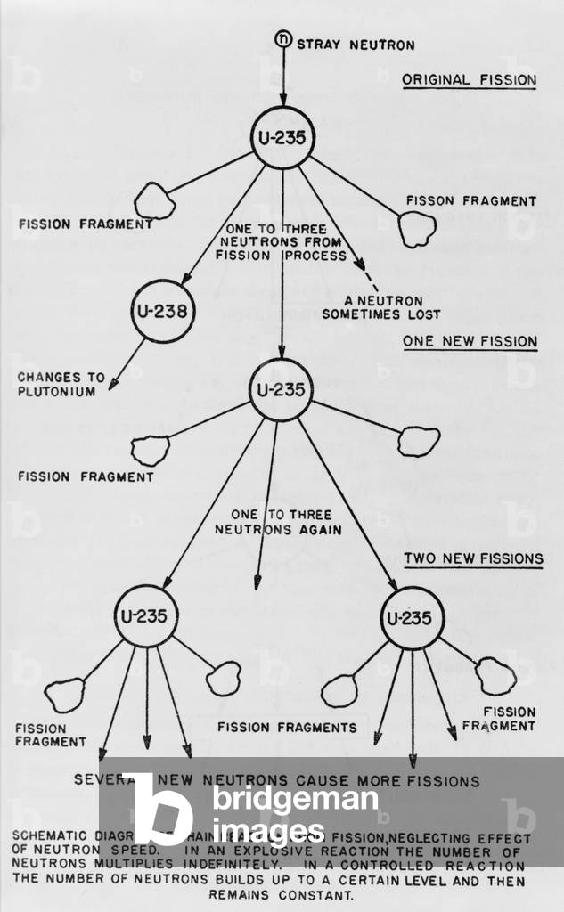 Schematic diagram of chain reaction from fission of uranium 235. From a U.S. government publication by Henry DeWolf Smyth, c. 1940-45