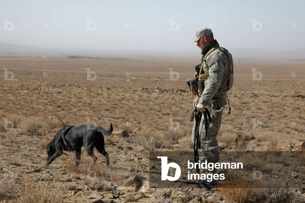 US soldier works with a dog identified as Staff Sgt. Bear a working dog searching for land mines at Bora Jengi Zabul province Afghanistan. Dec. 23 2010