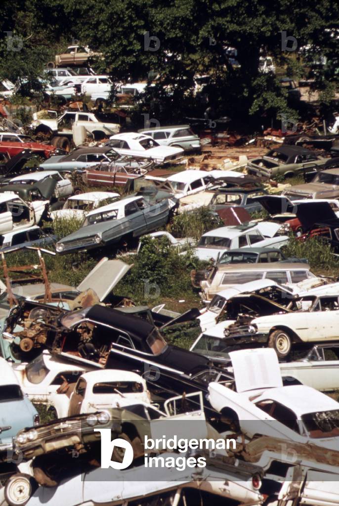 An automobile junkyard. Wrecked car parts were sold for auto repairs and whole cars for recycling as scrap steel. c. 1973-75