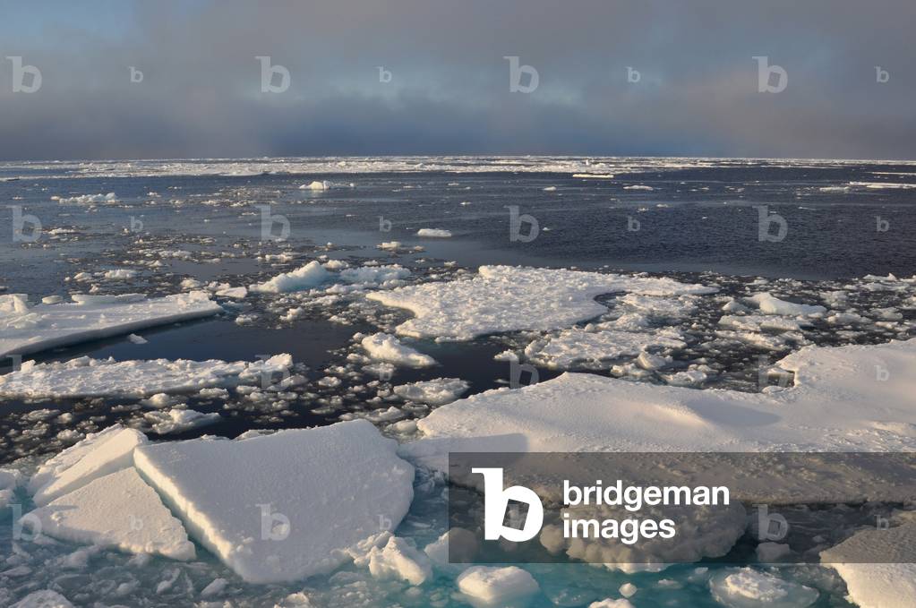 Arctic Ocean ice at the height of the summer melt. Sept. 9 2009